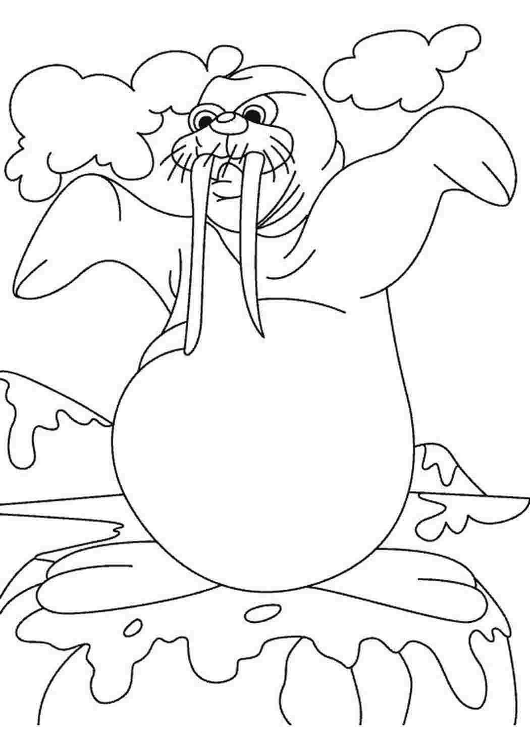 Раскраска Грозный морж