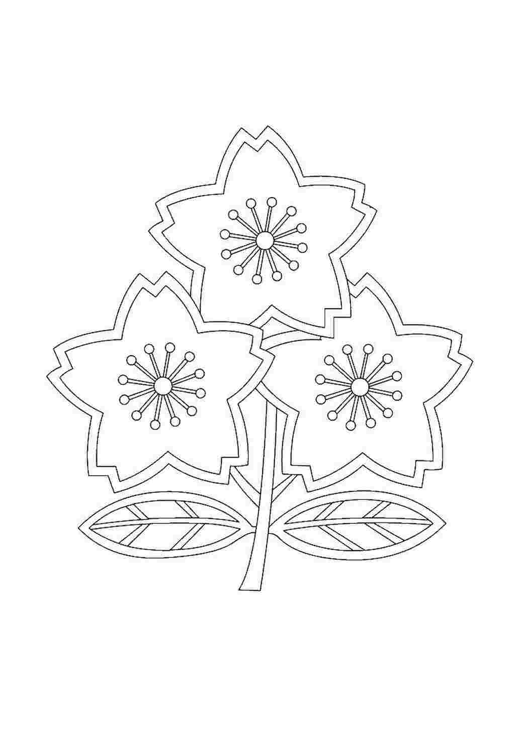 Раскраска Цветочки