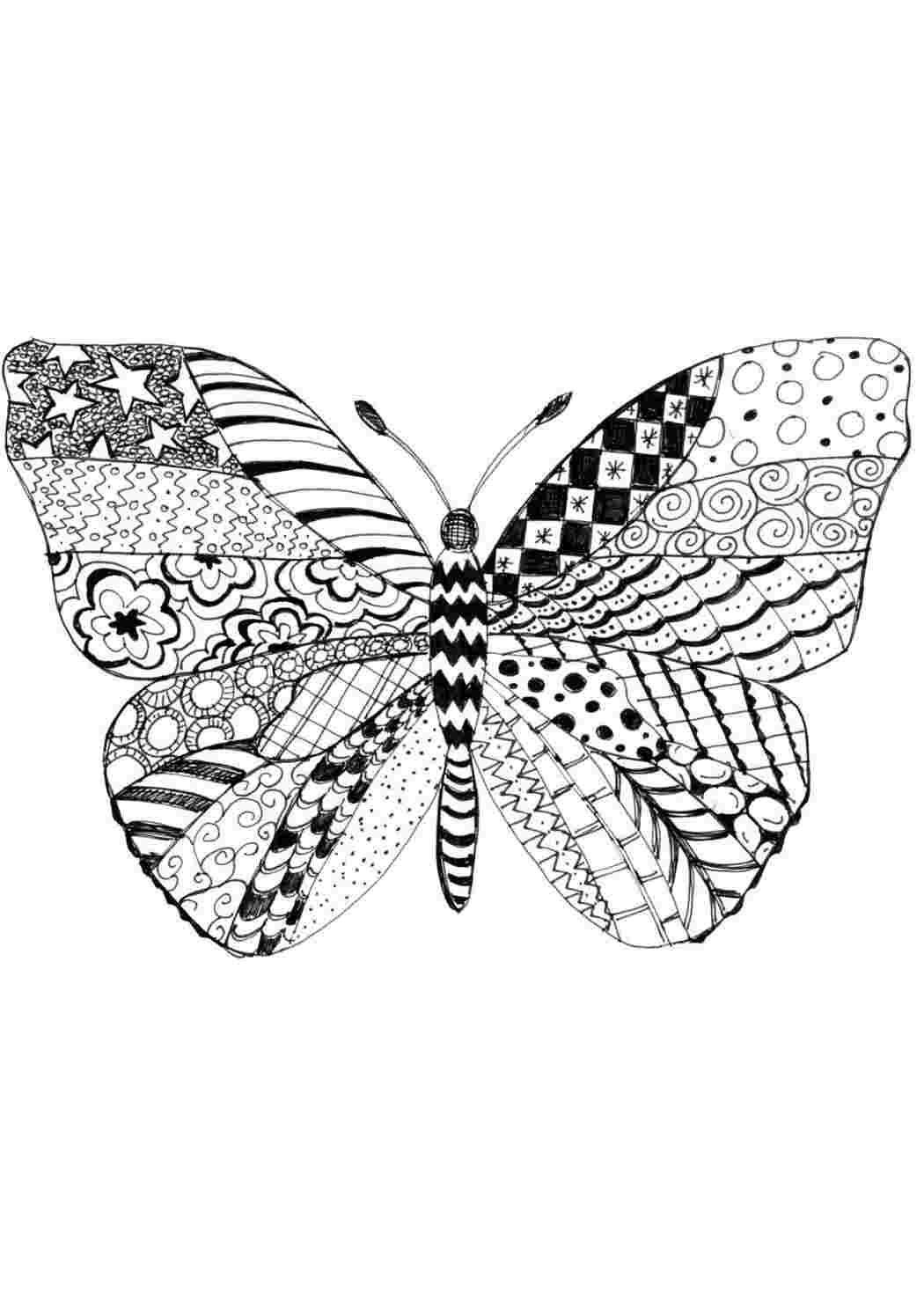 Раскраски для девочек сложные бабочки