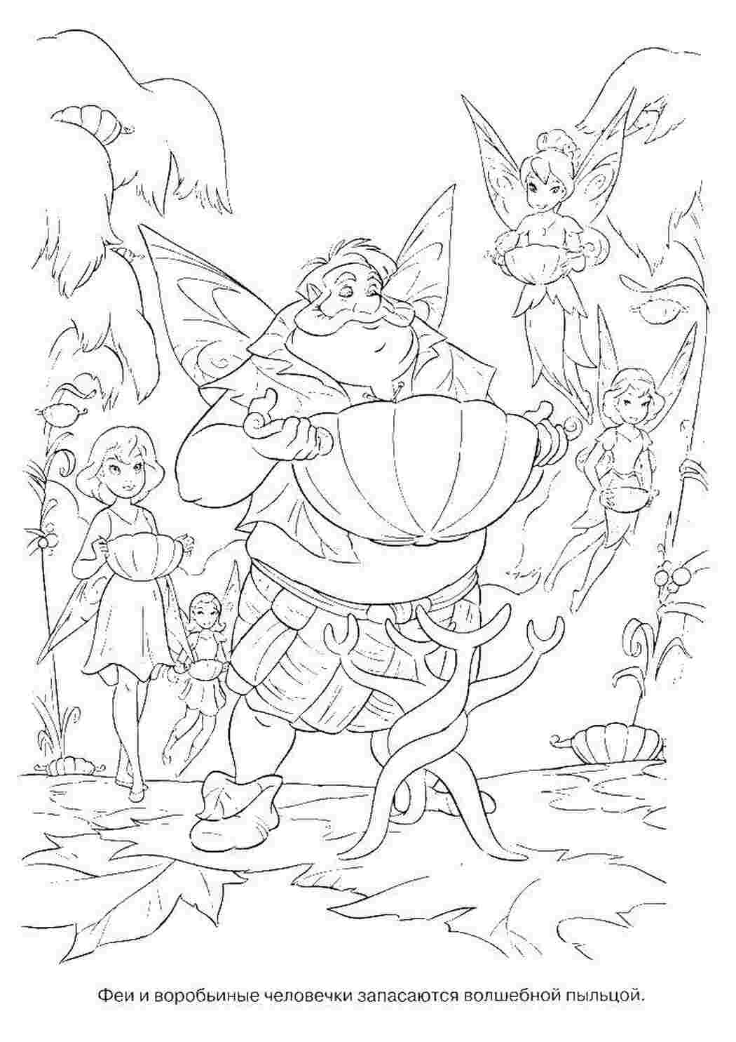 Раскраска Феи