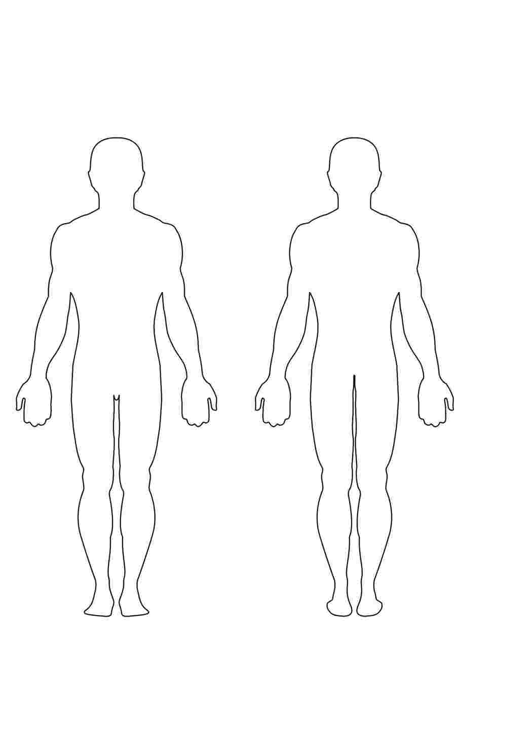 Фигура мальчика. Контур человека спереди и сзади. Контур тела человека спереди. Контур человеческого тела. Человек схематично.
