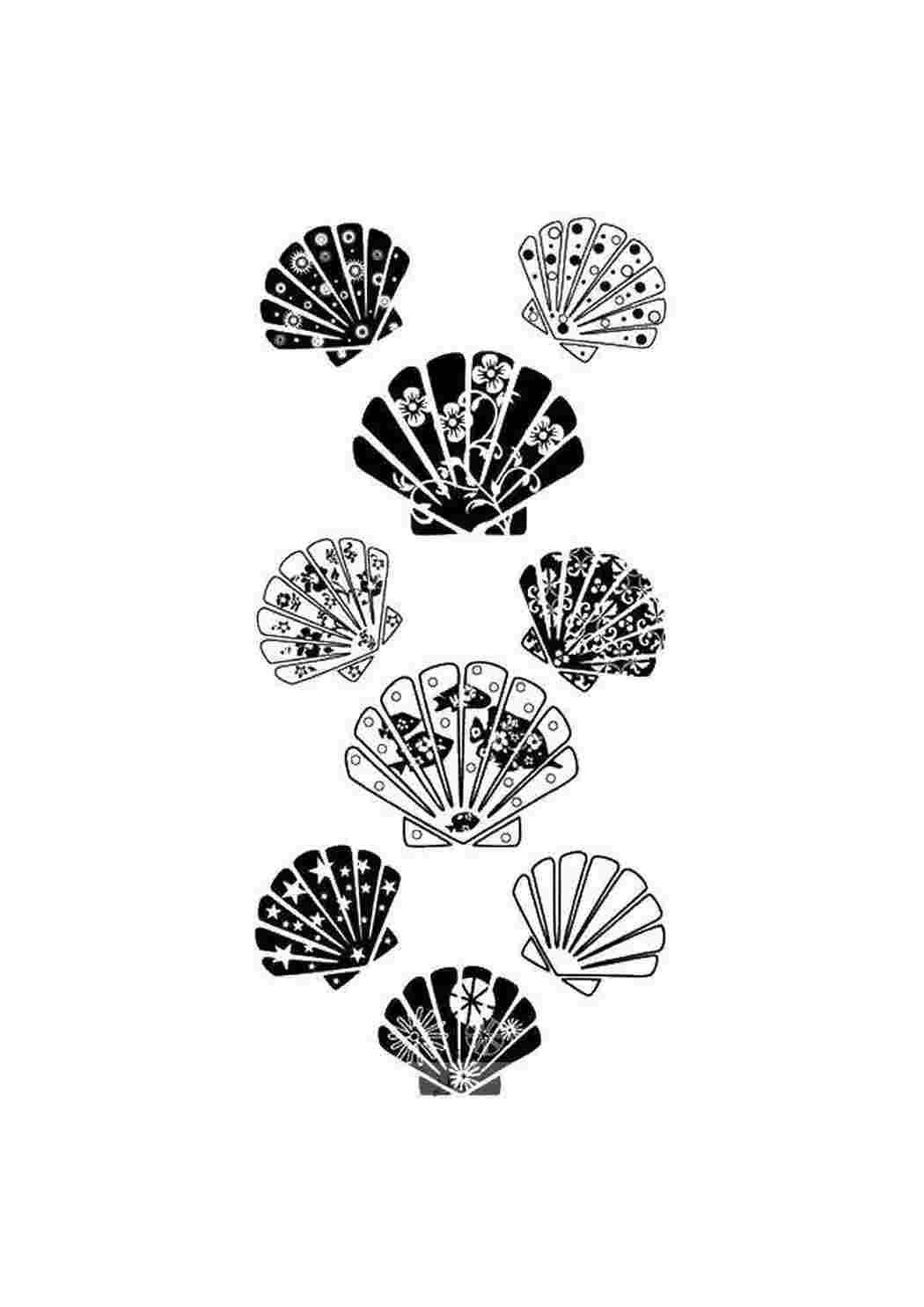 Раскраска Ракушки