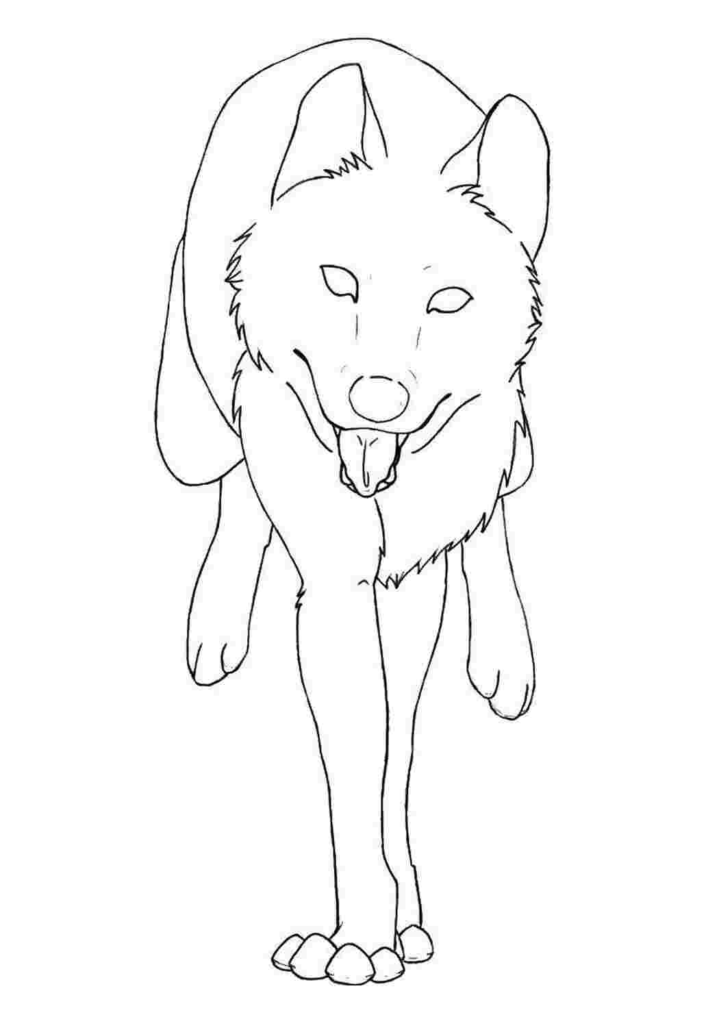 Раскраска Волк