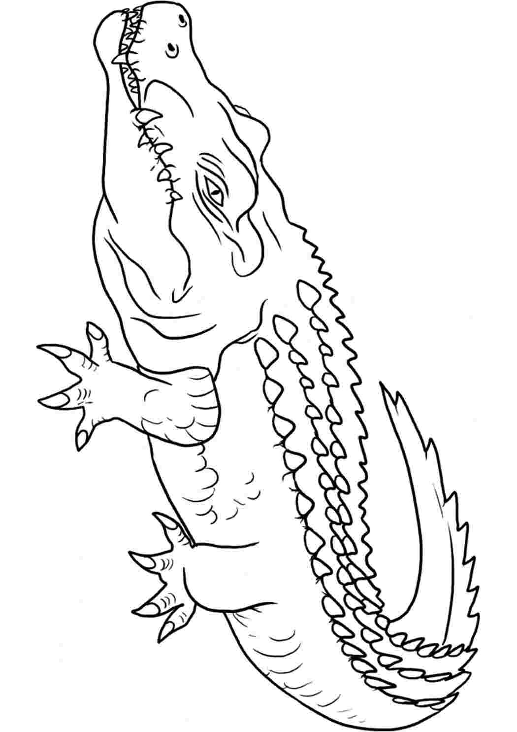 Нарисовать крокодила