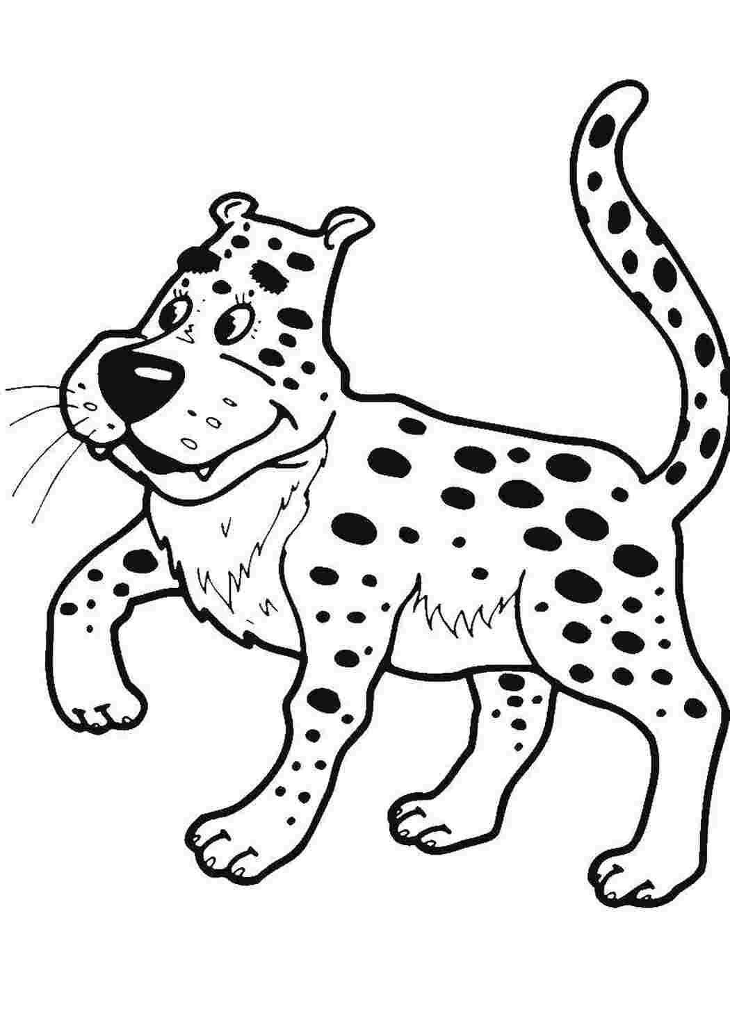 Раскраска Леопард