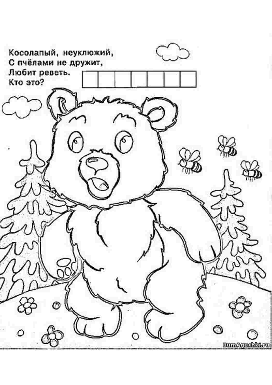 Раскраска медведь с шишкой для детей