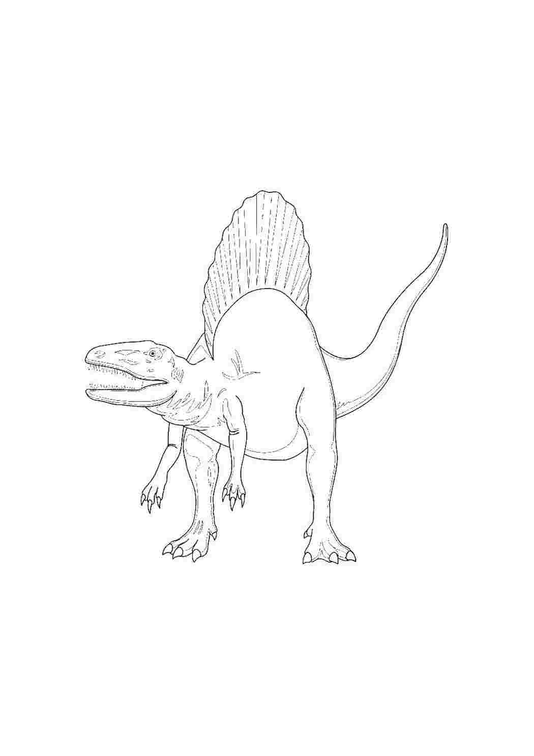 Раскраска Спинозавр