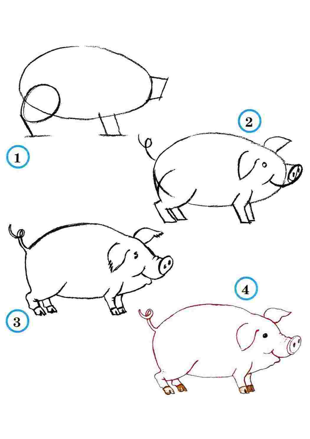 Рисунок поэтапно 4 класс. Схема рисования домашних животных. Рисование животных пошагово. Схемы рисования домашних животных для дошкольников. Поэтапное рисование свинки.