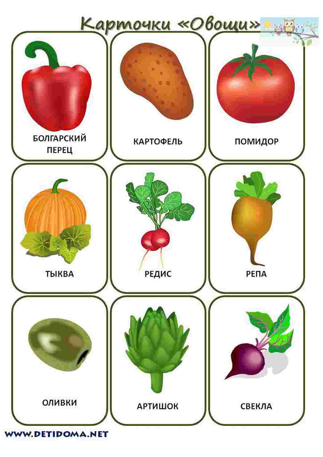 Овощи карточки для детей цветные