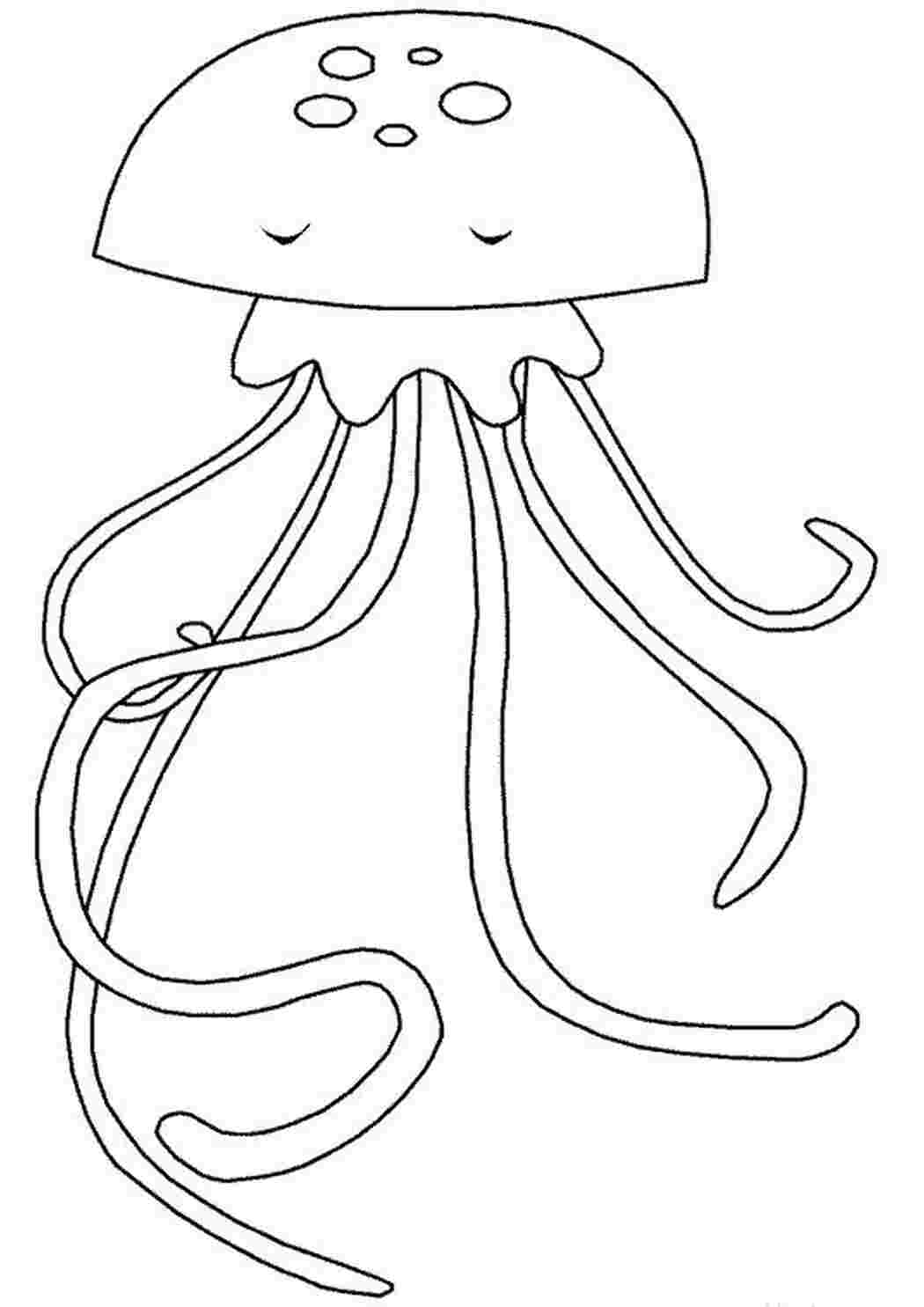 Раскраска большая медуза