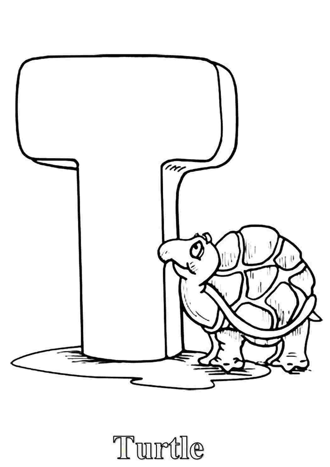 Раскраска  буква t turtle