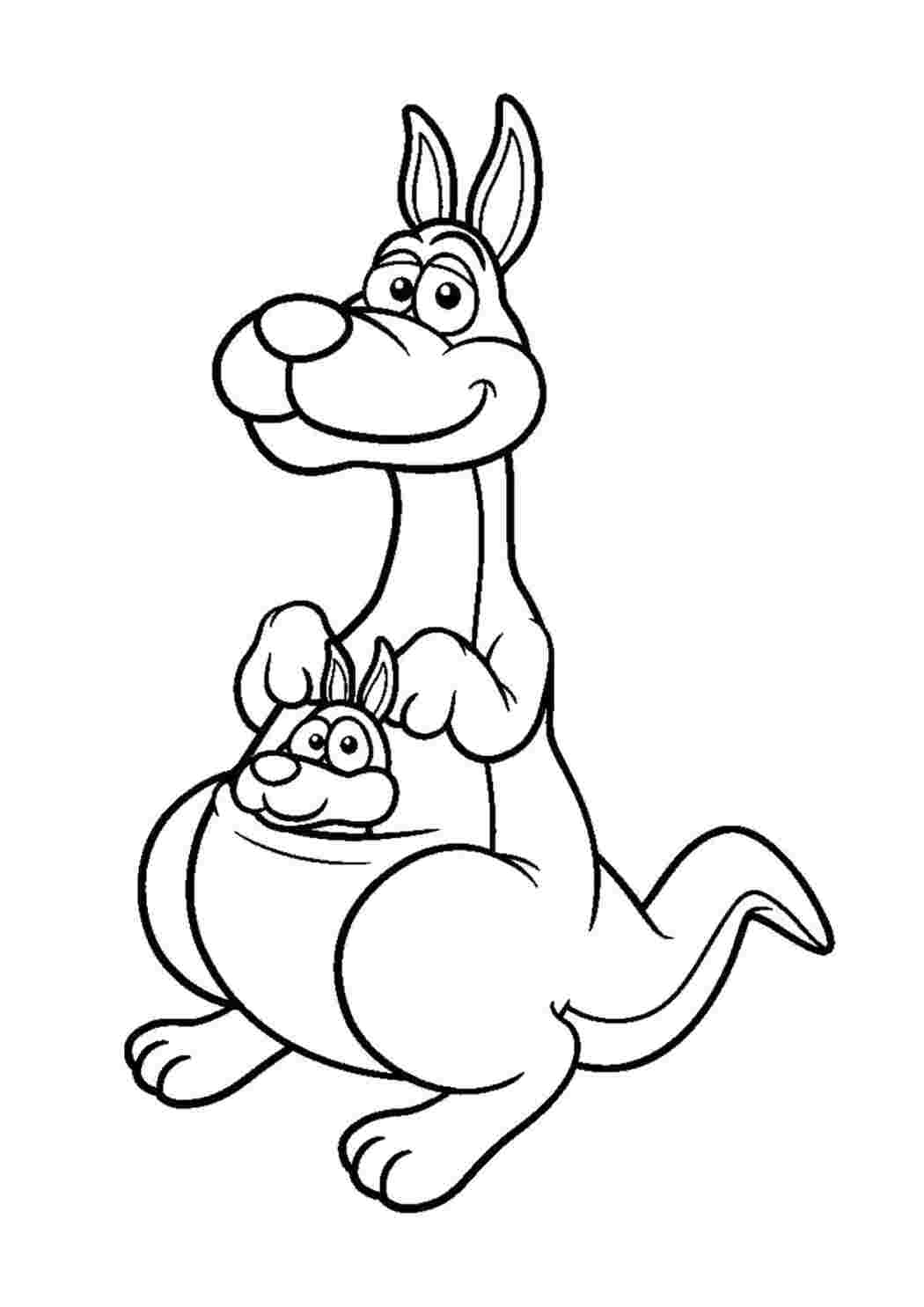 Раскраска Красивый кенгуру 