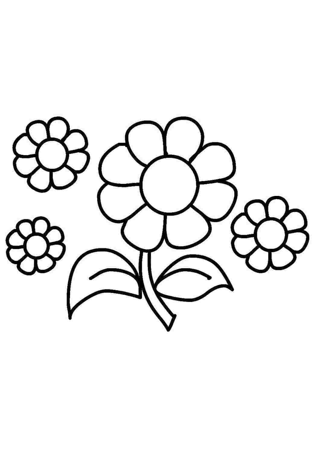 Раскраска Цветочки