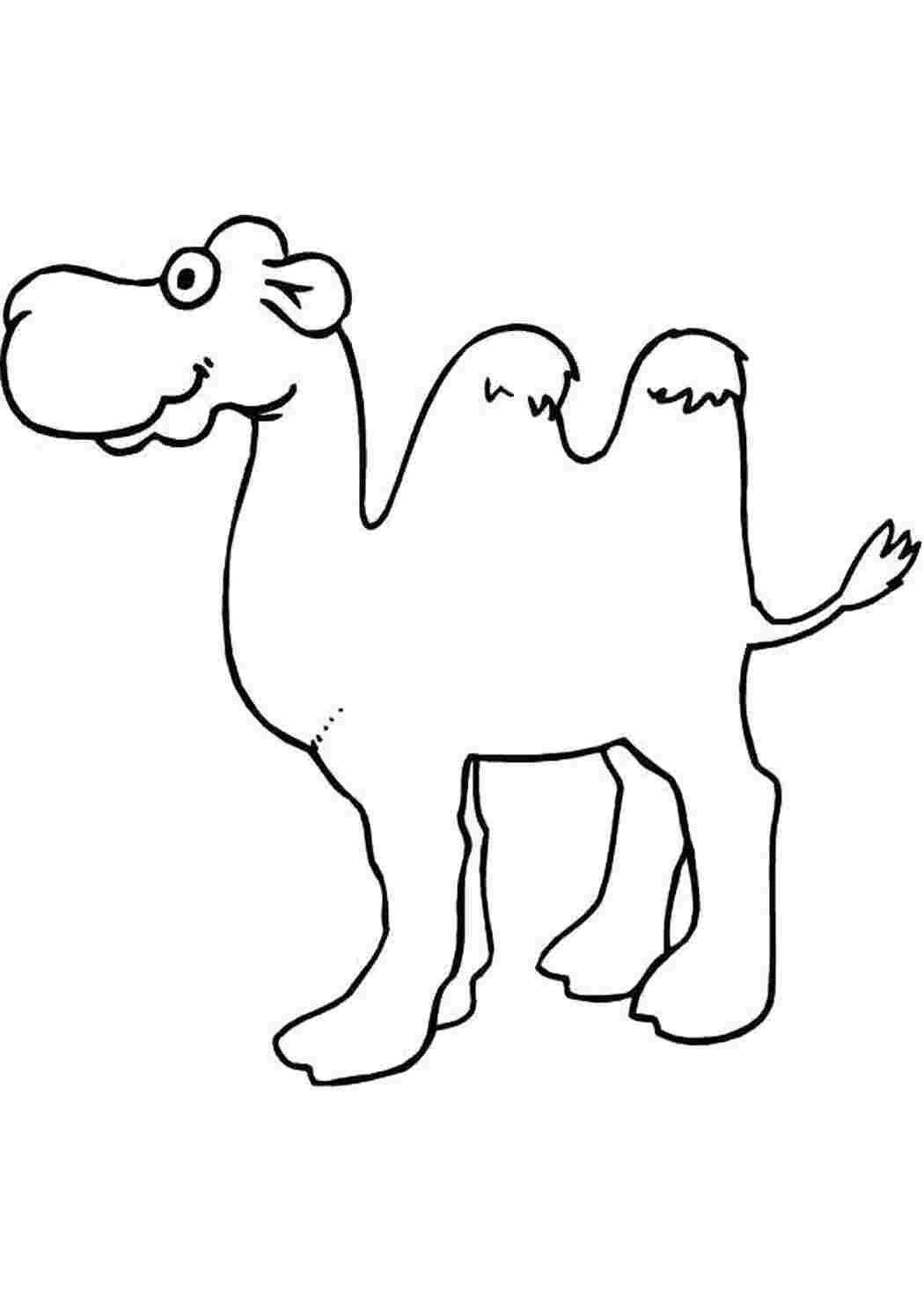графический диктант верблюд. постер с верблюдом. стилизованный верблюд. верблюд стилизация. приемы стилизации животных.