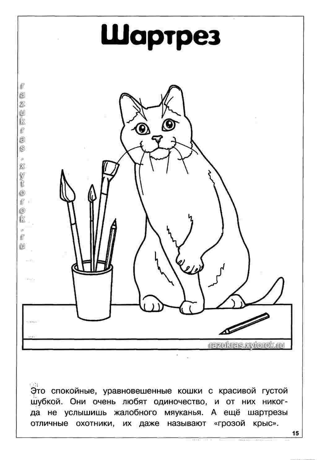 Раскраска Шартрез