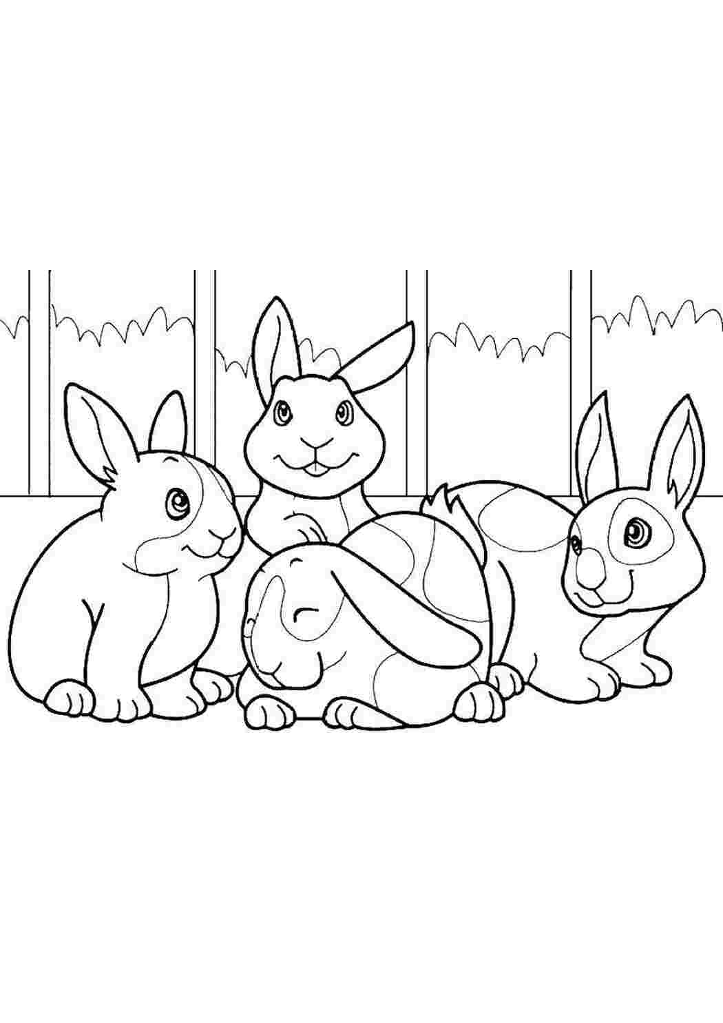 Кролик — раскраска для детей. Распечатать бесплатно.