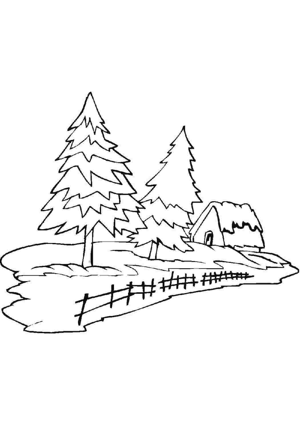 Раскраска елка