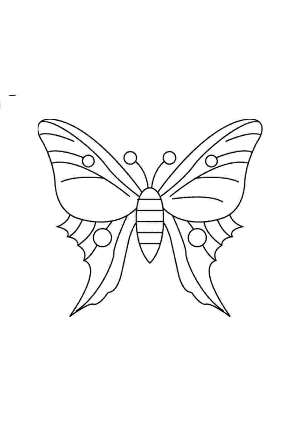 Раскраска Волшебная бабочка