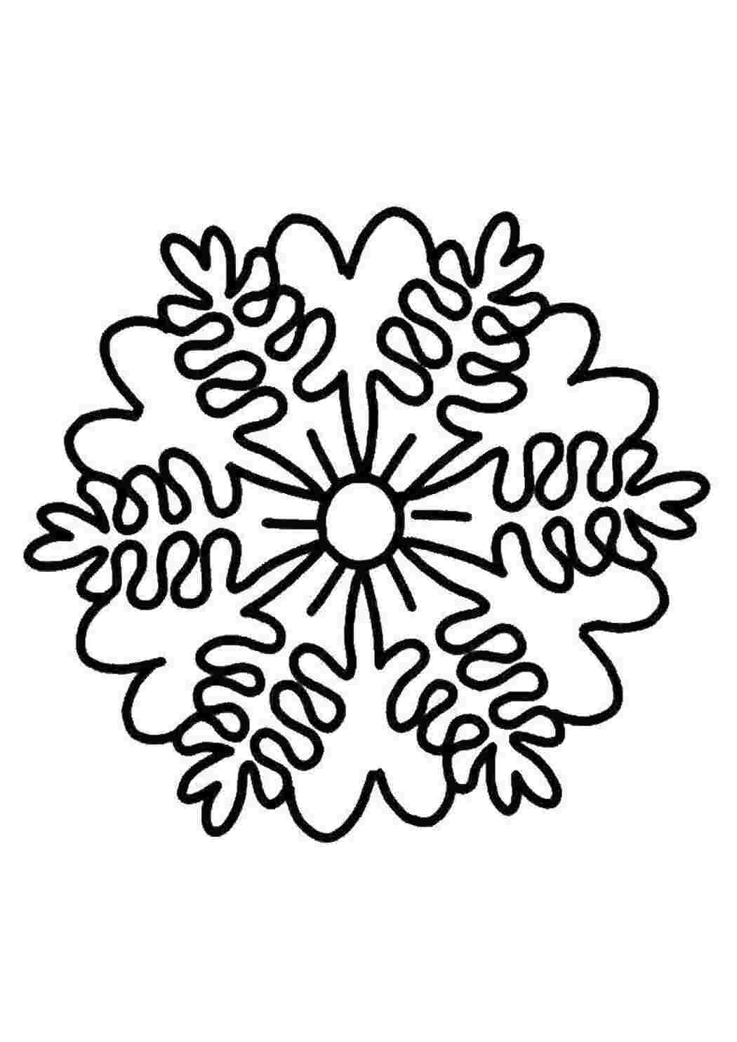 Раскраска Цветы