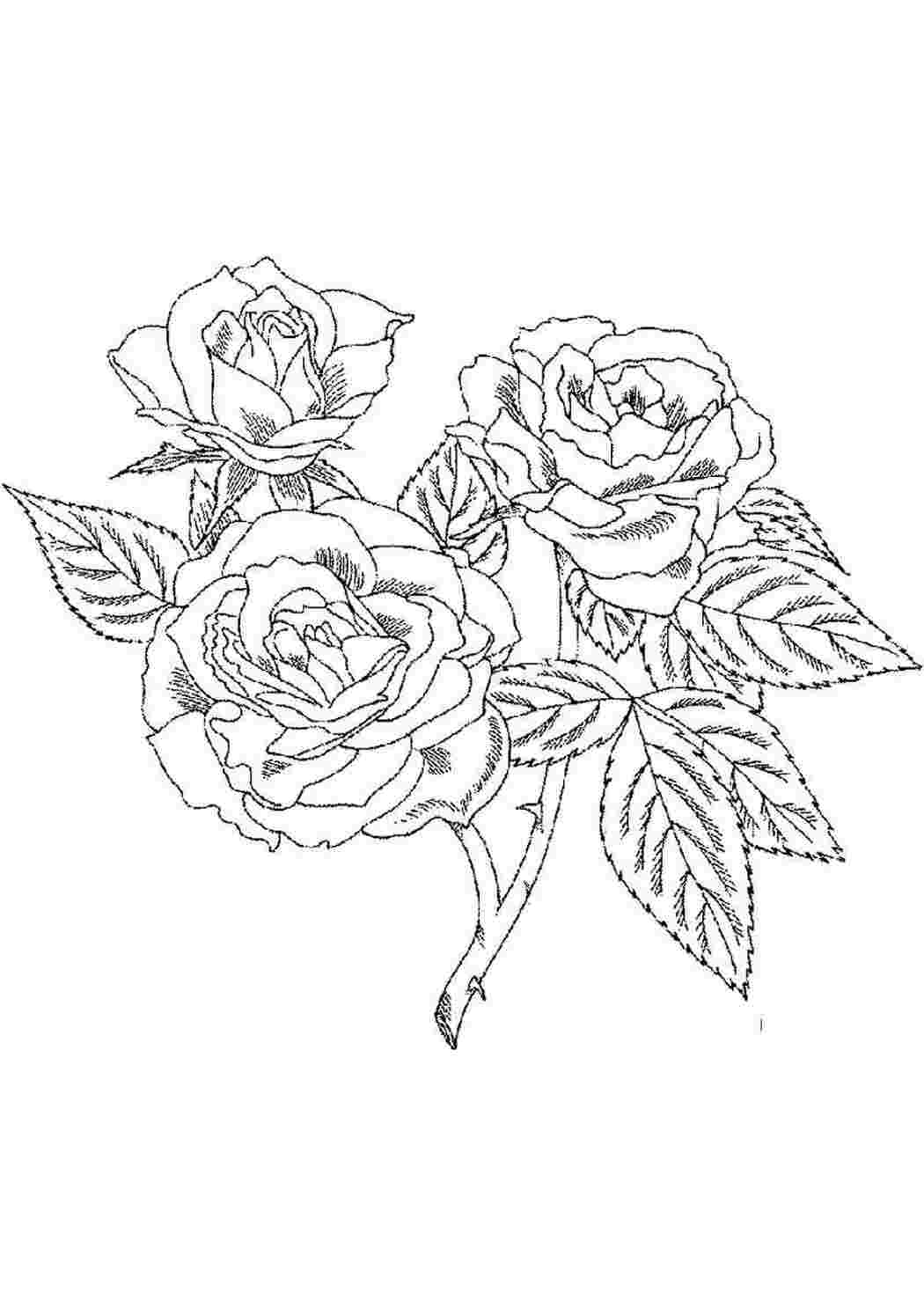 Раскраска Скачать или распечатать раскраску распечатать скачать