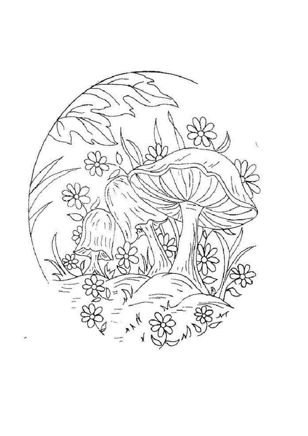 Раскраска Грибы