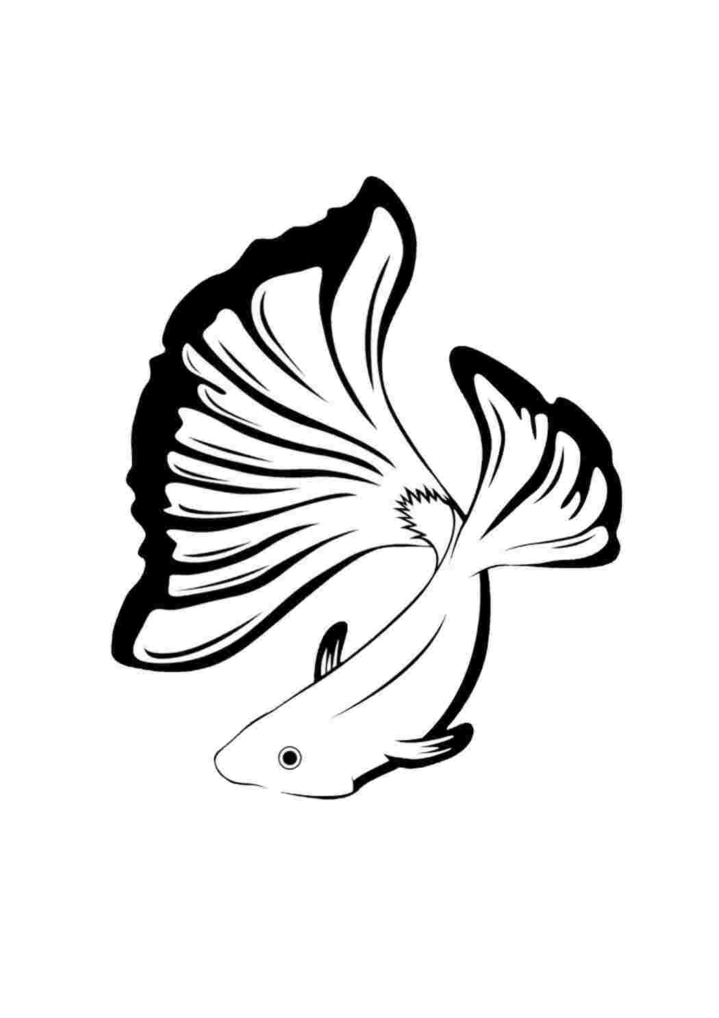Хвост рыбы раскраска