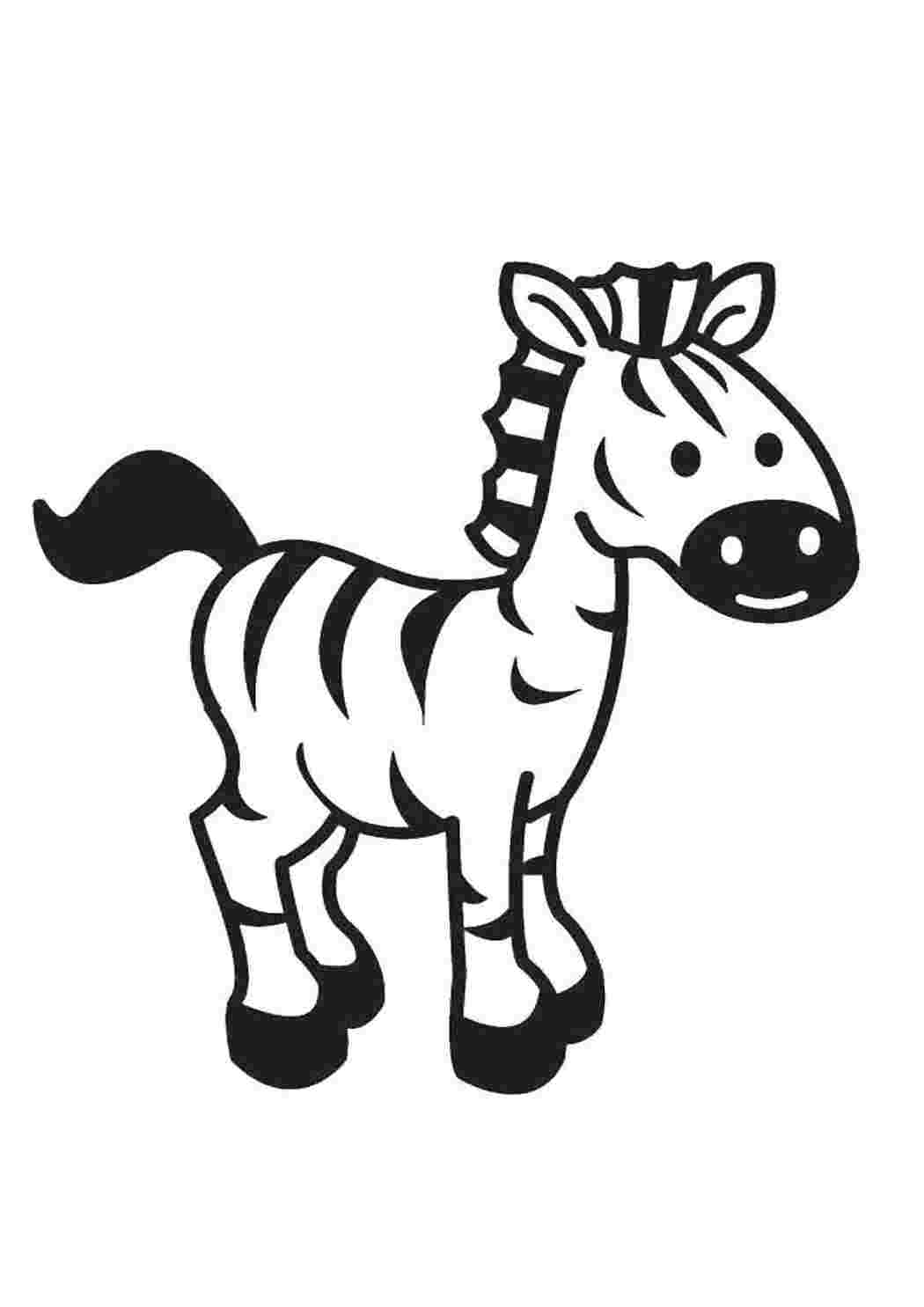 Раскраска Зебра