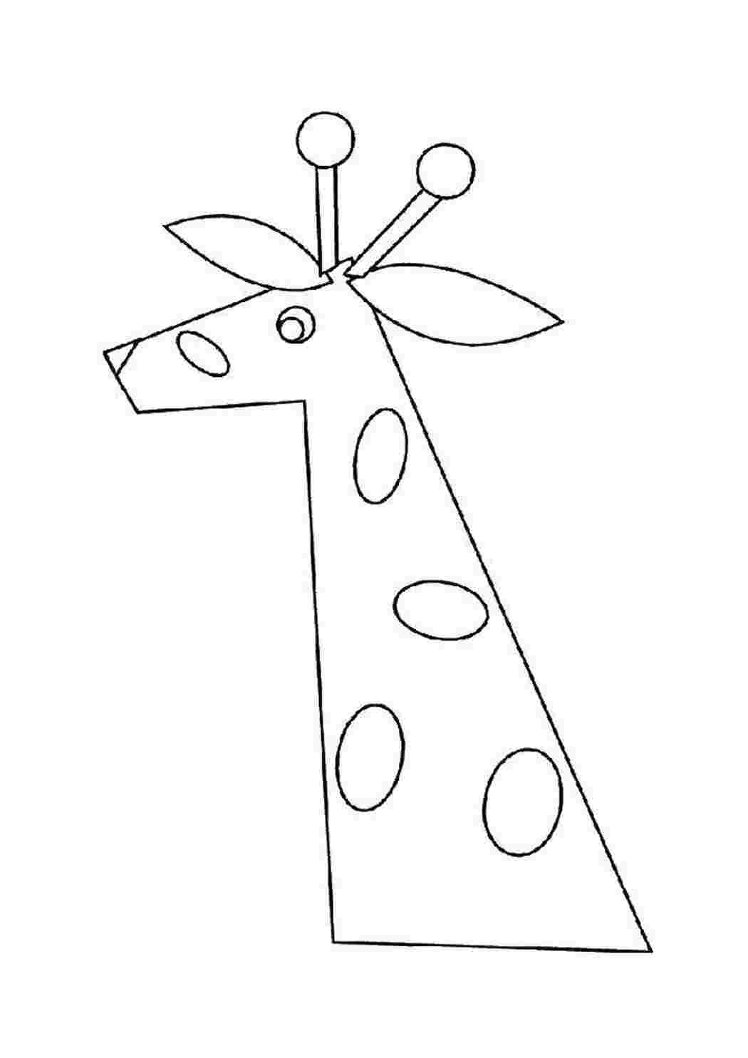 Раскраска Жираф