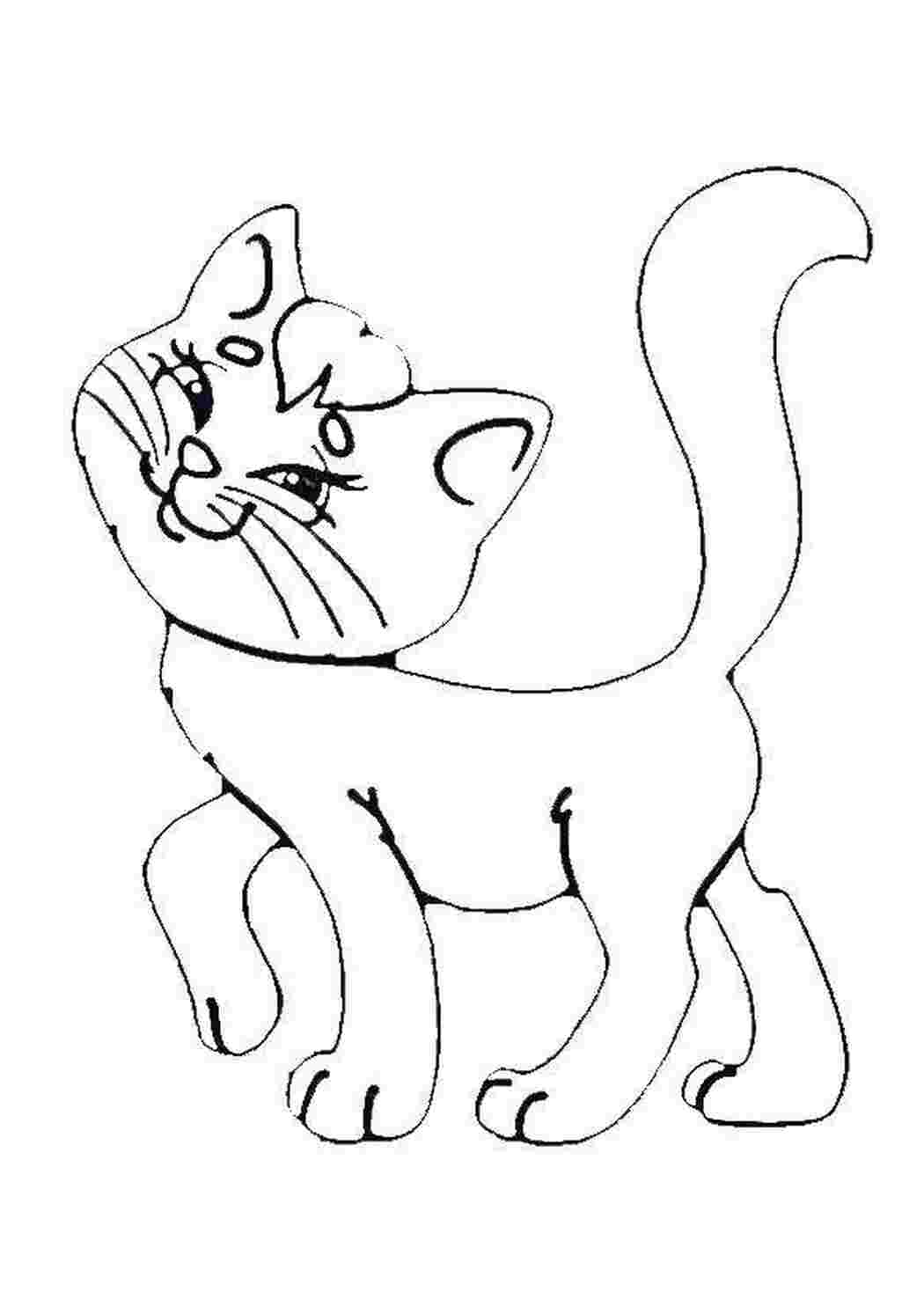 Шаблон котика для рисования