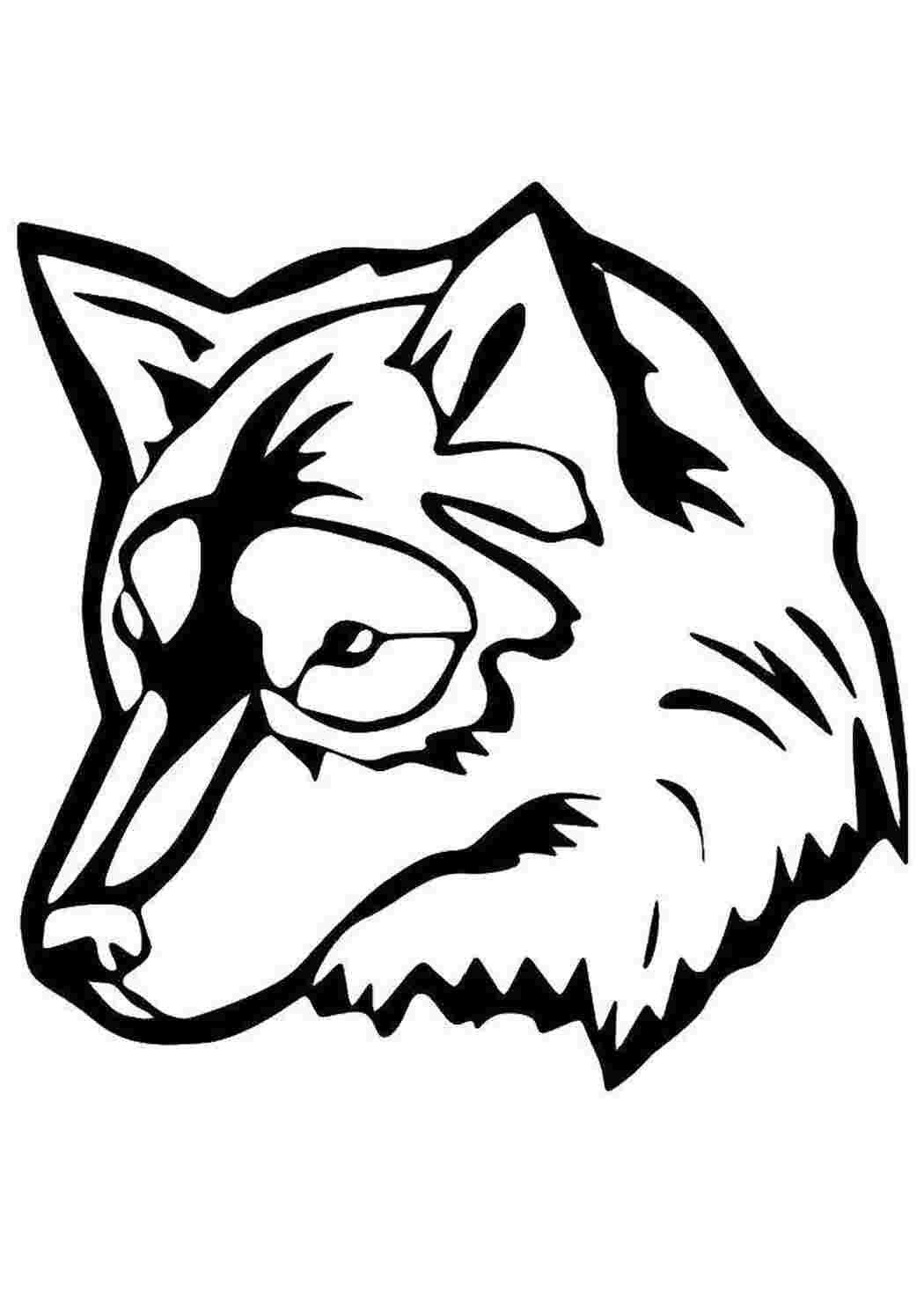 Раскраска Волк