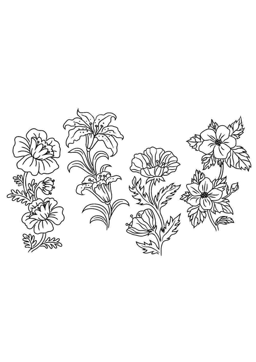 Раскраска Цветы