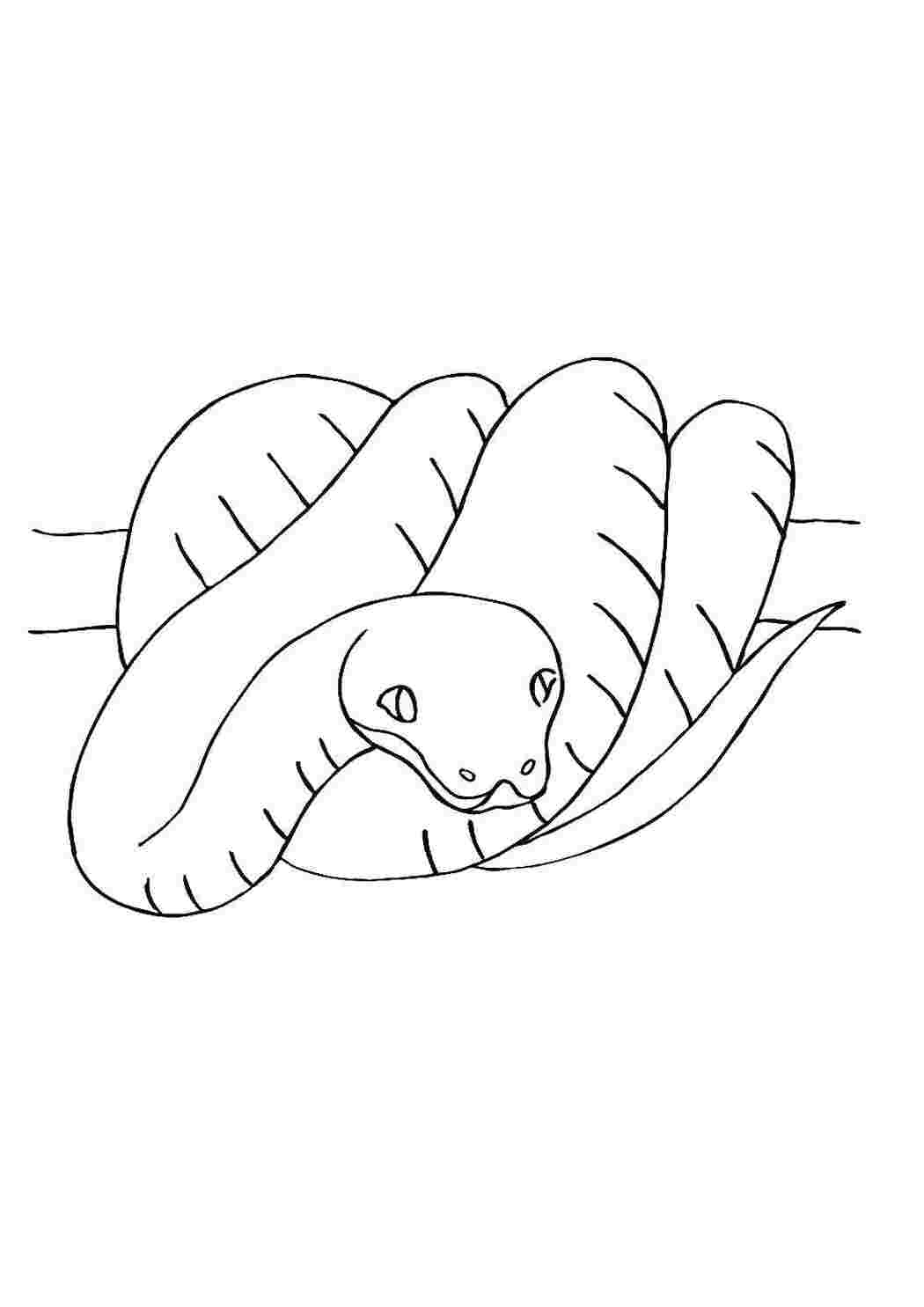 Раскраска Змея