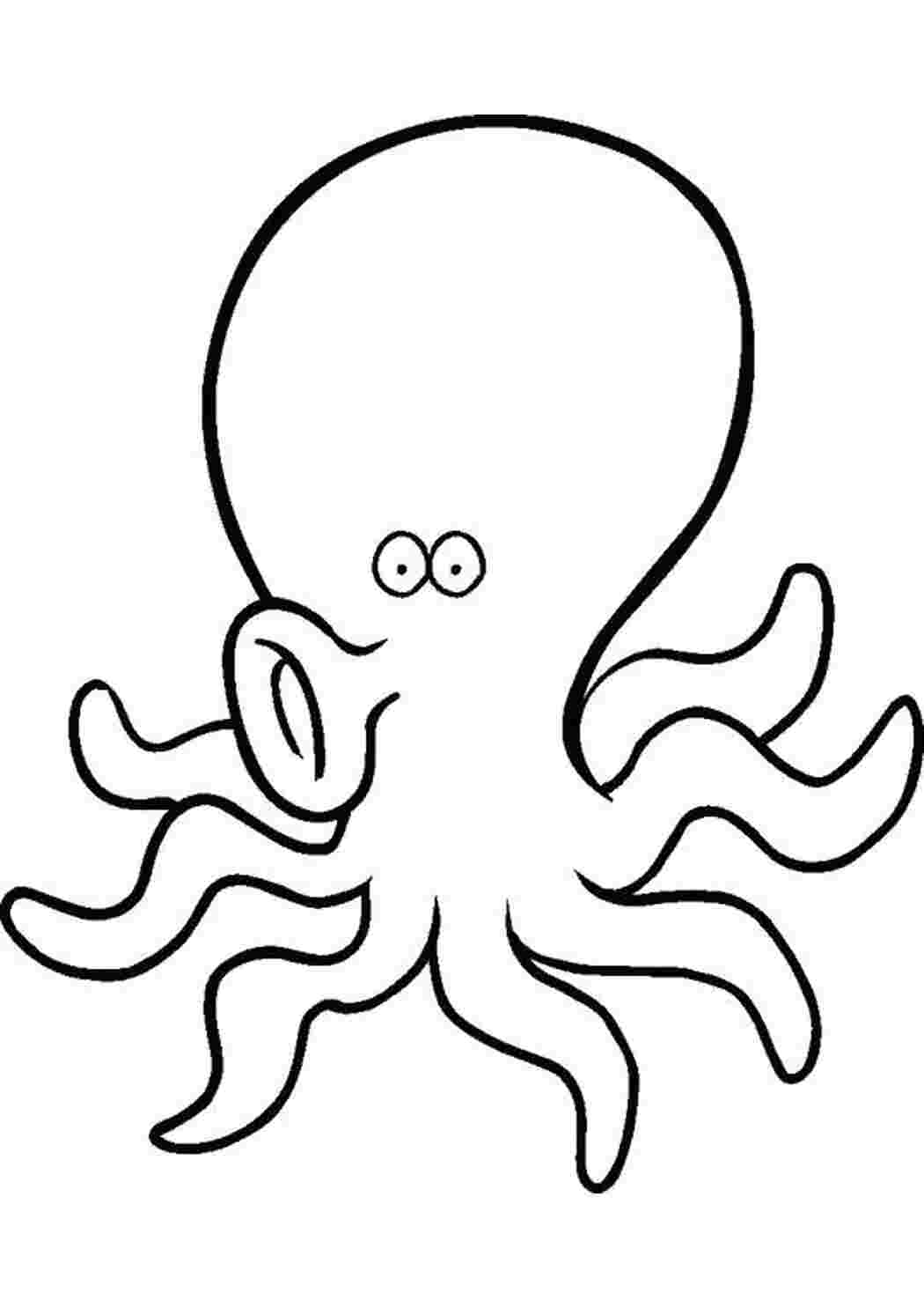 Раскраска Рисунок-раскраска осьминожка