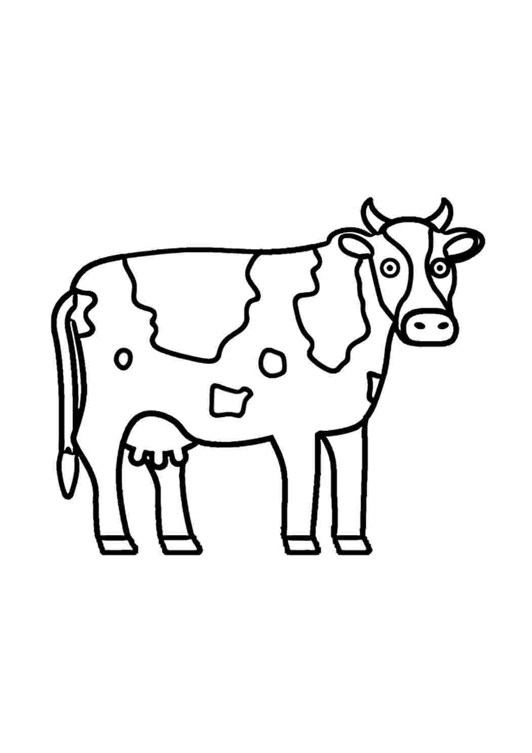 Пятна коровы раскраска