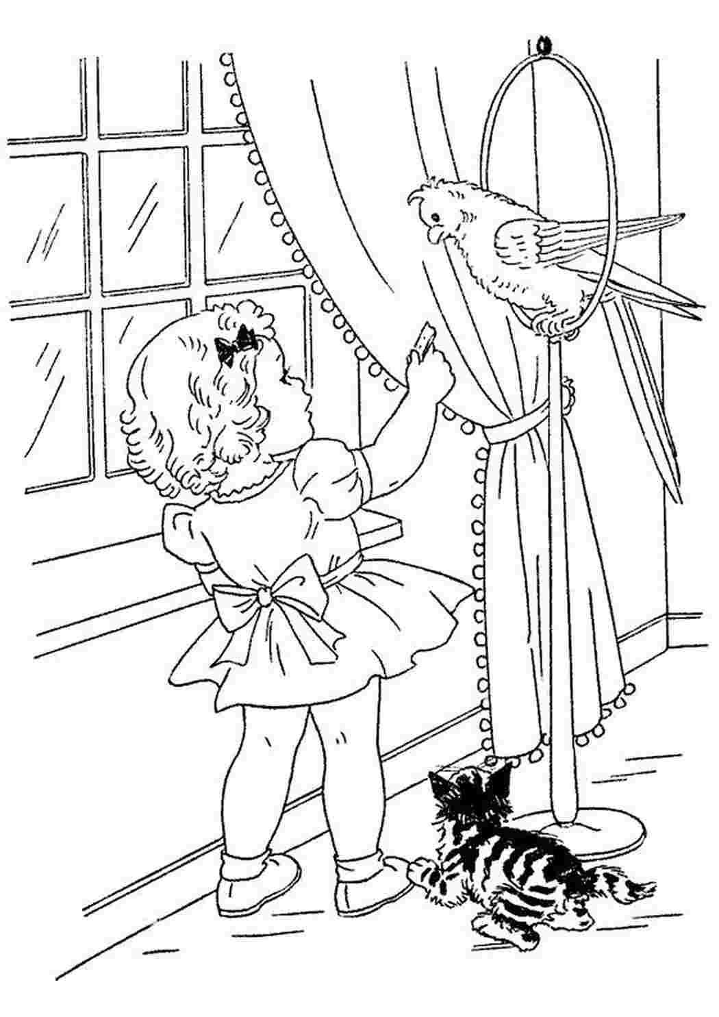 Раскраска волнистый попугай