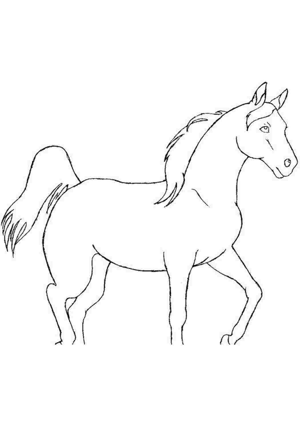 Лошадка контурный рисунок