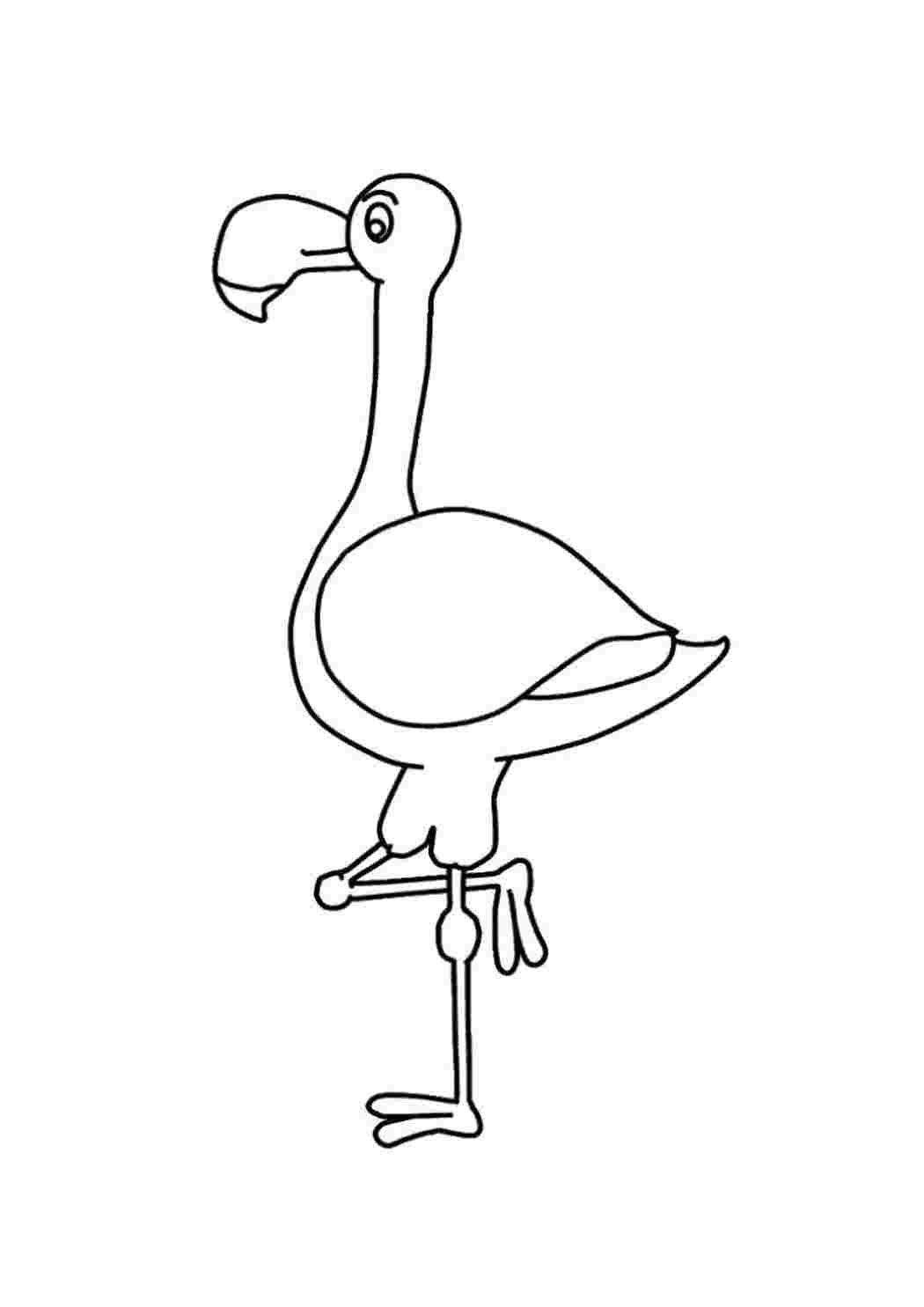 Раскраска Разукрашка фламинго