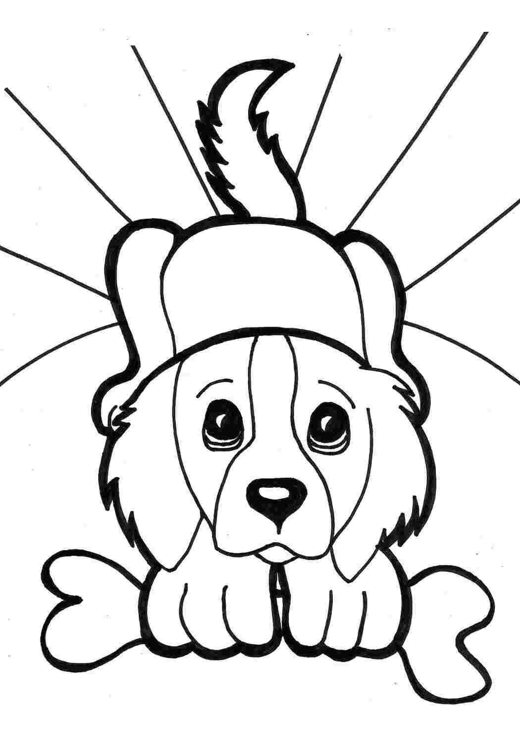 Раскраска Принёс косточку