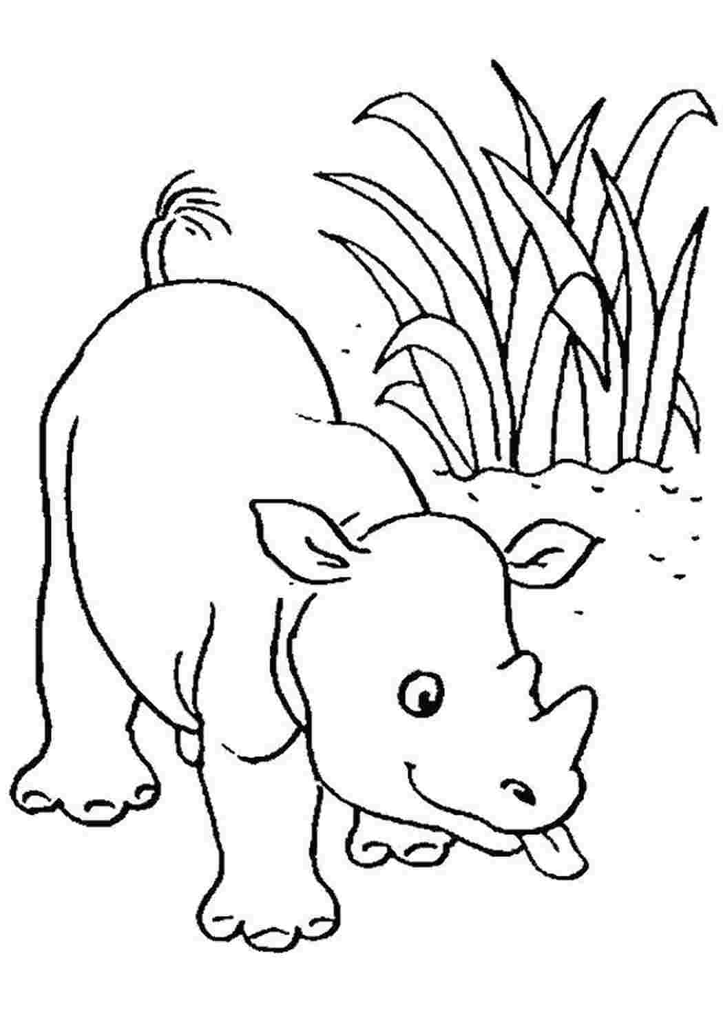 Раскраска носорог маленькая