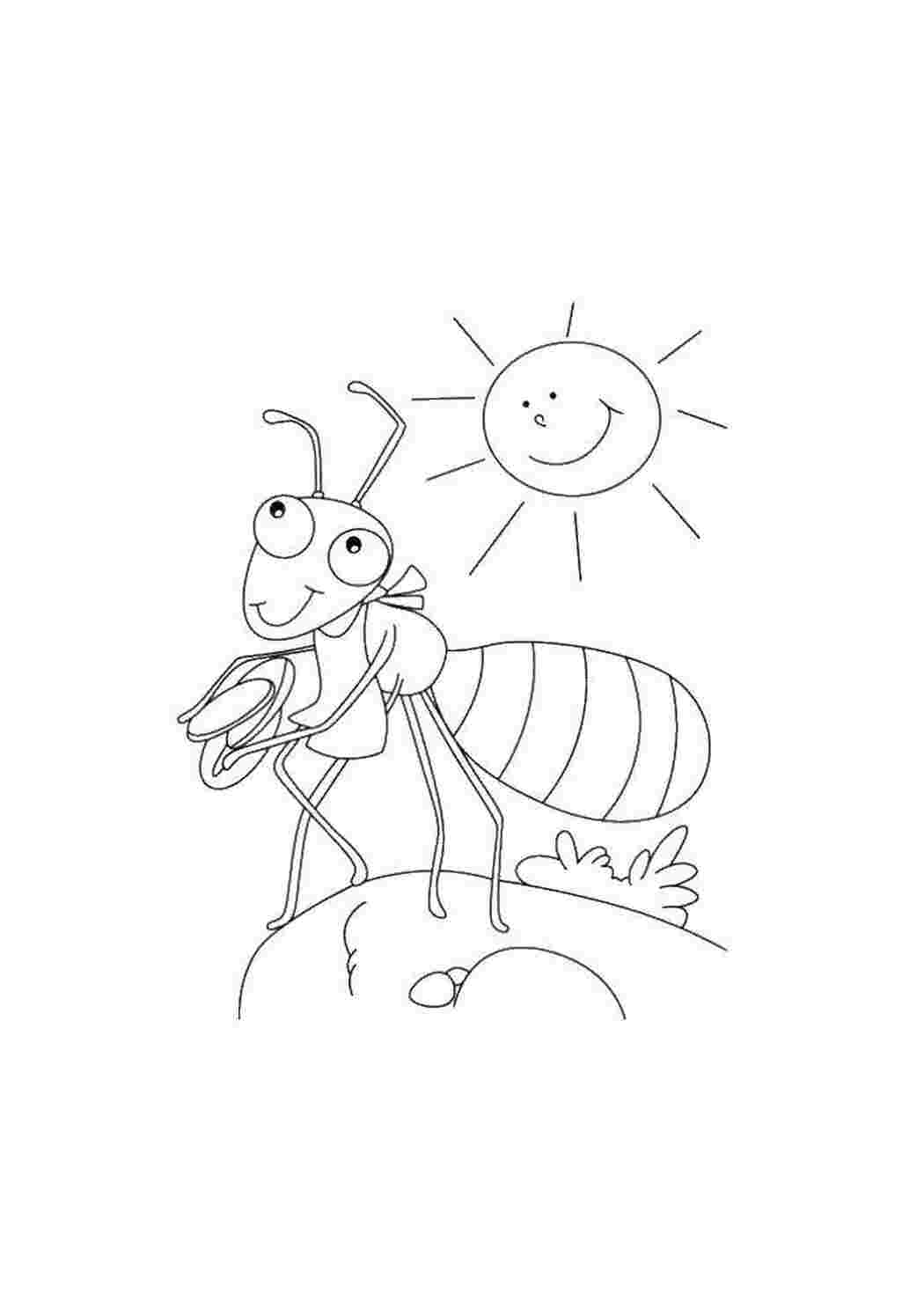 Раскраска Муравей