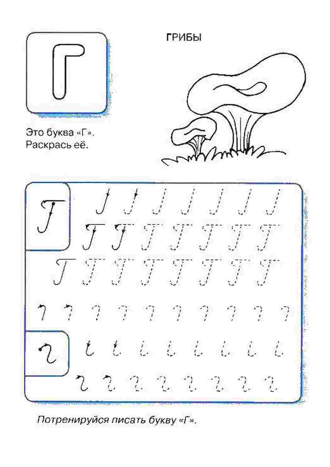 Раскраска Грибы