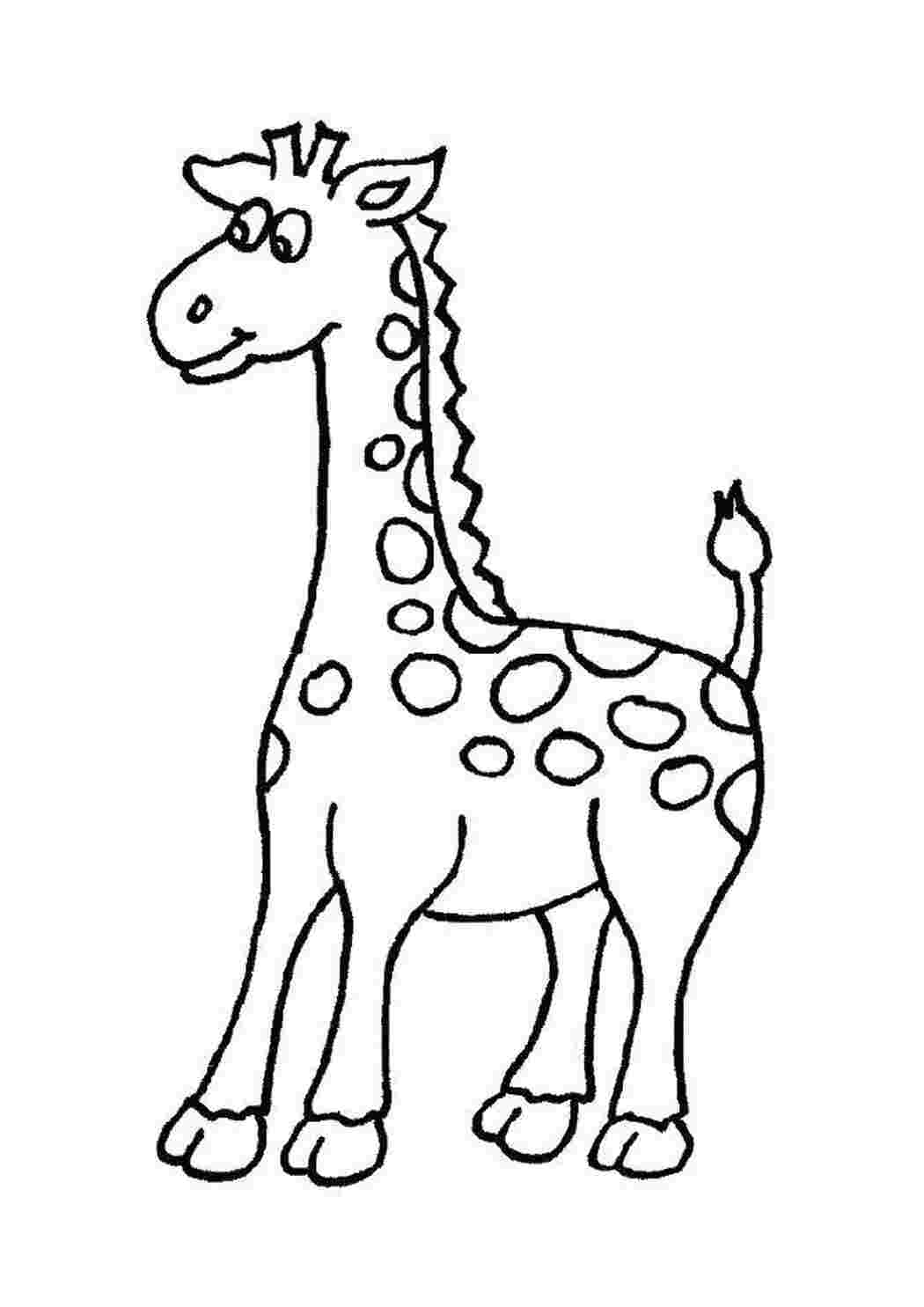 Раскраска Созвездие Жираф для детей