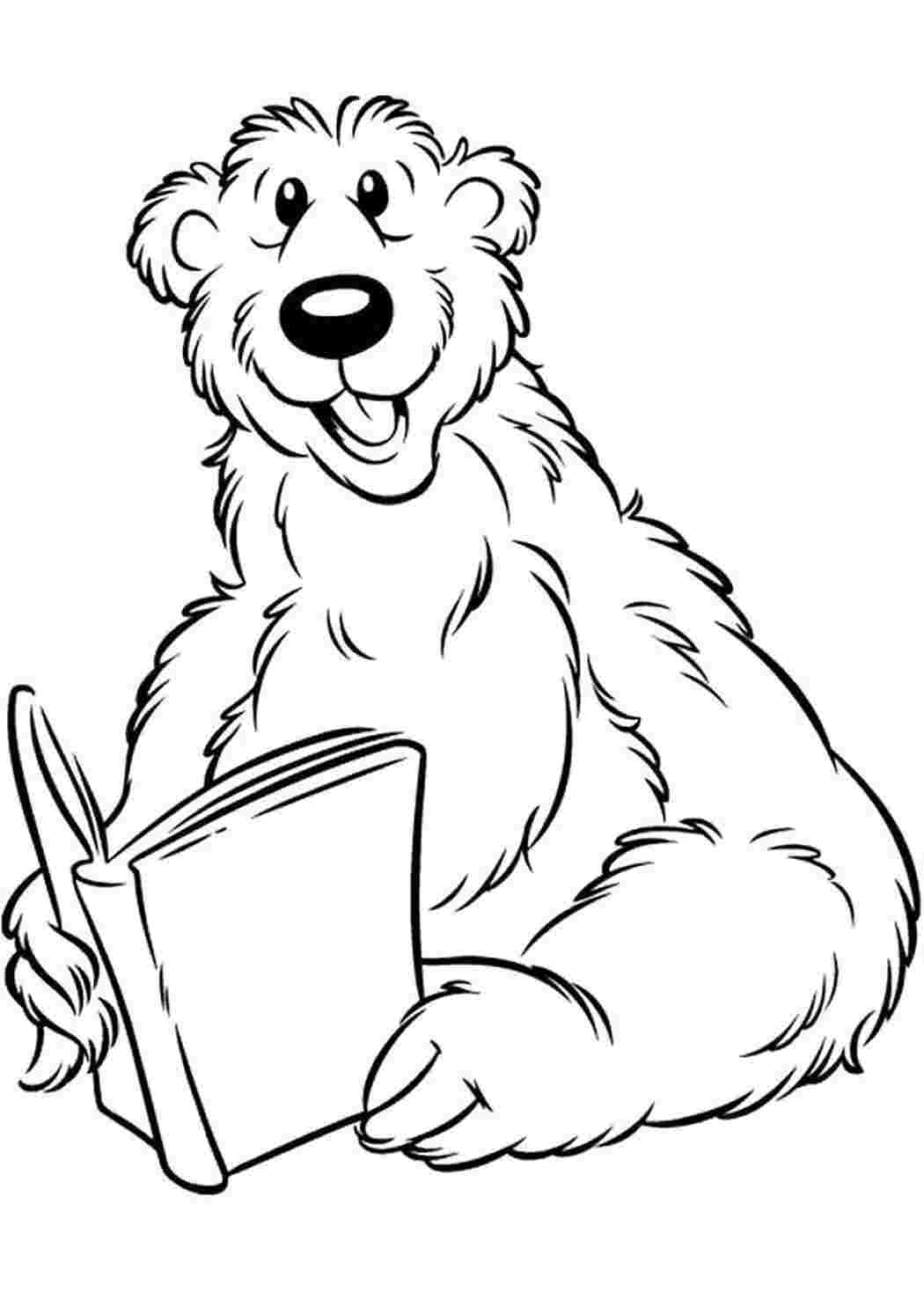 Раскраска медведь с книжкой