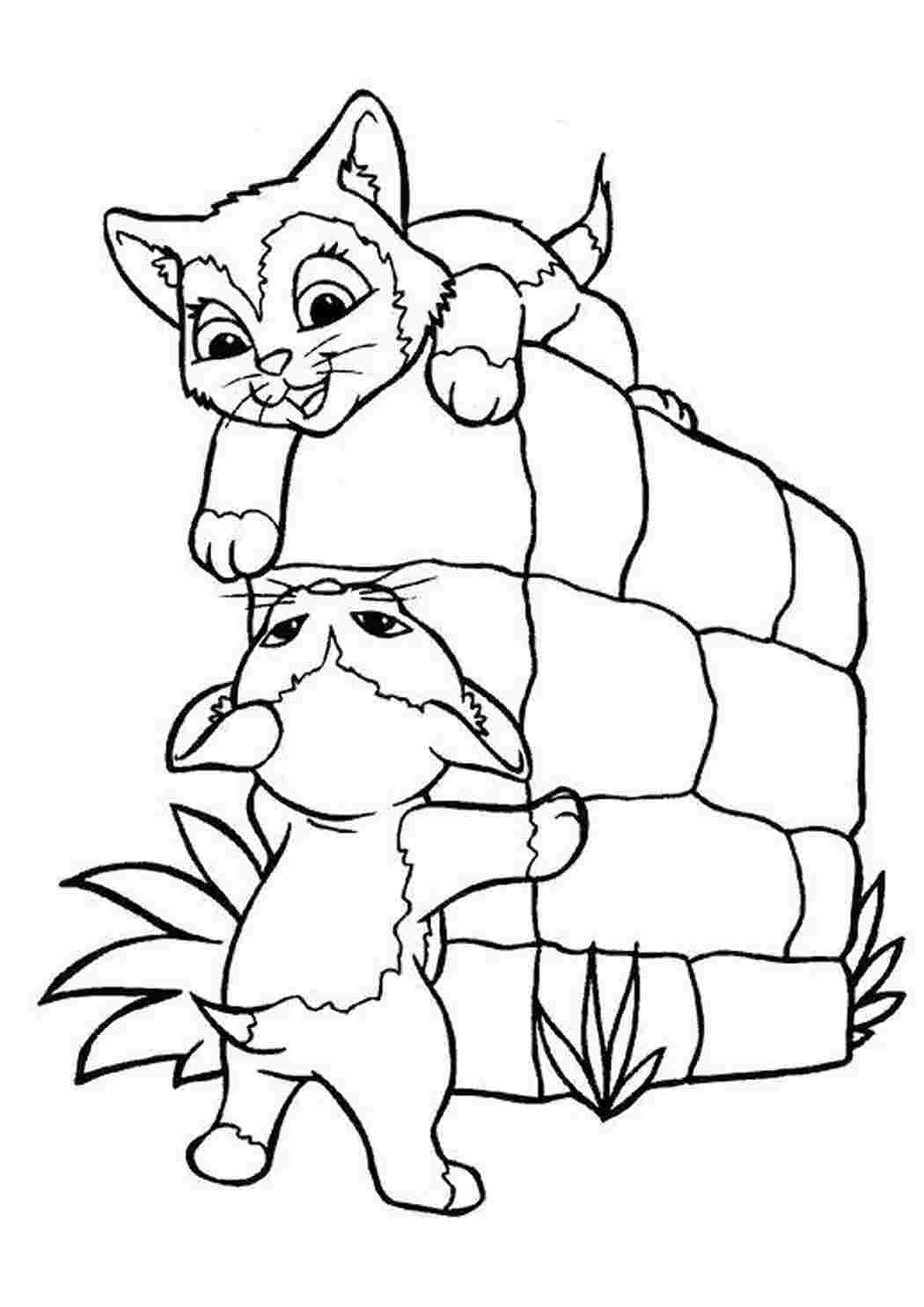 Раскраска Игры котят