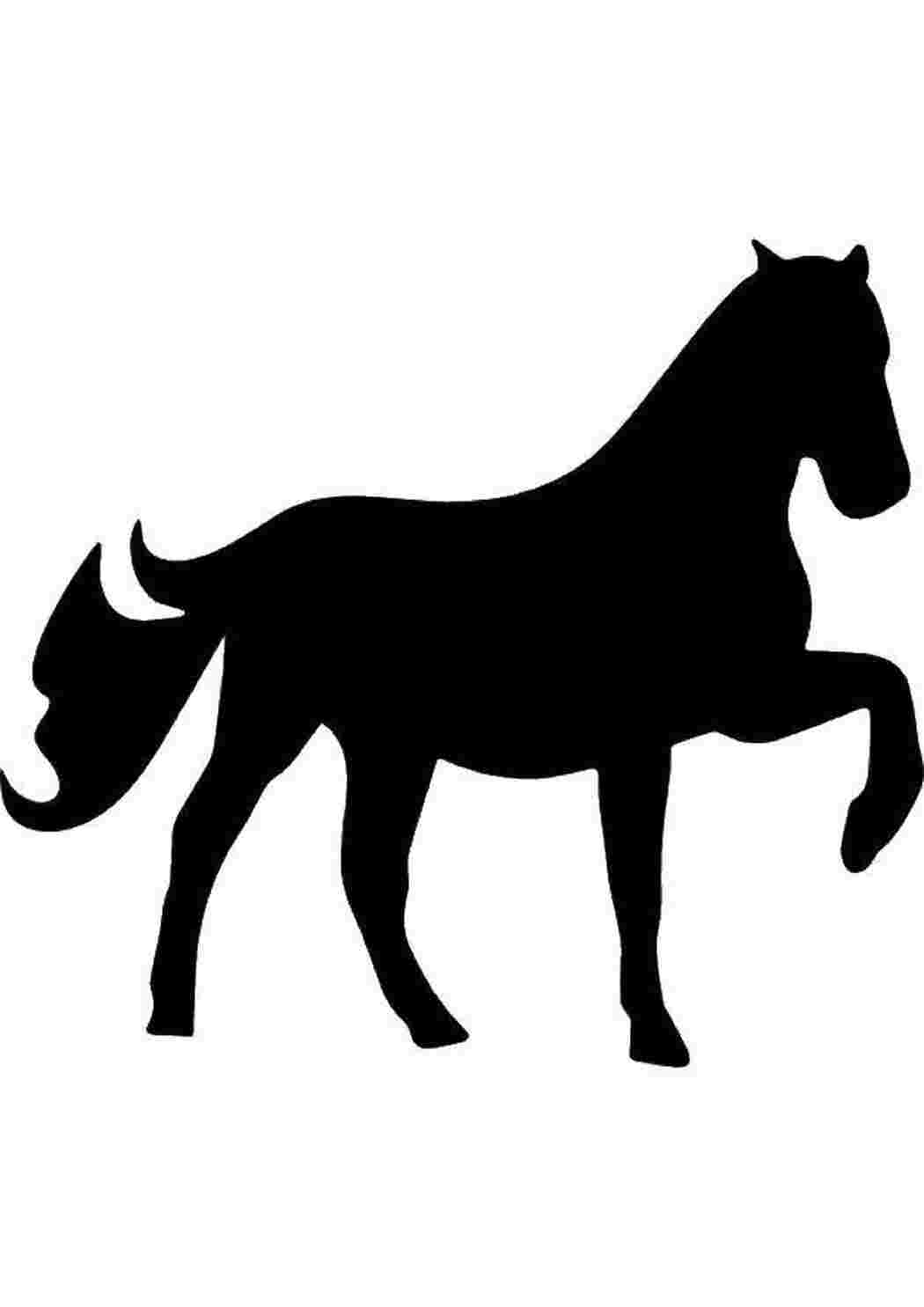 Контурное изображение лошади