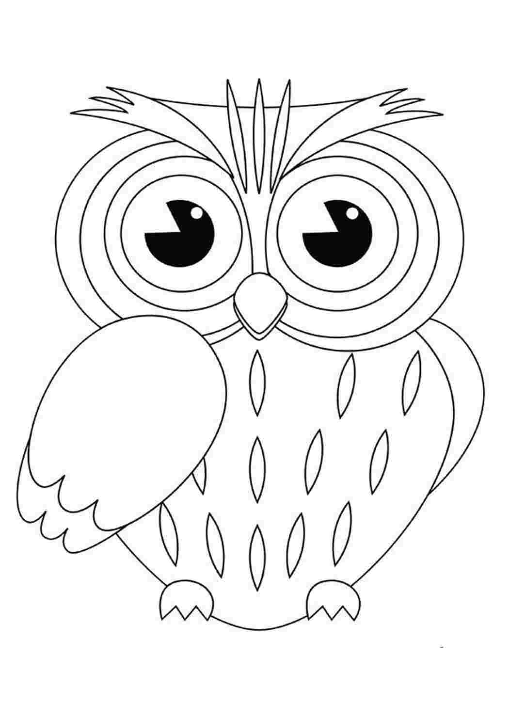 Раскраска сова
