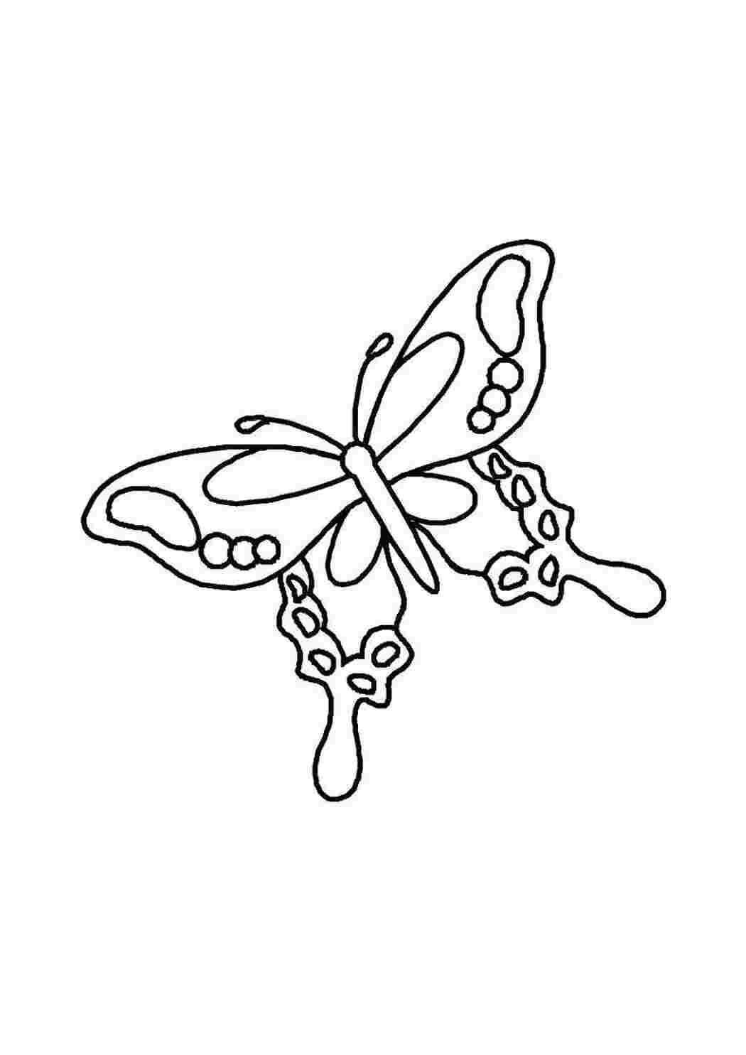 Раскраска Бабочка
