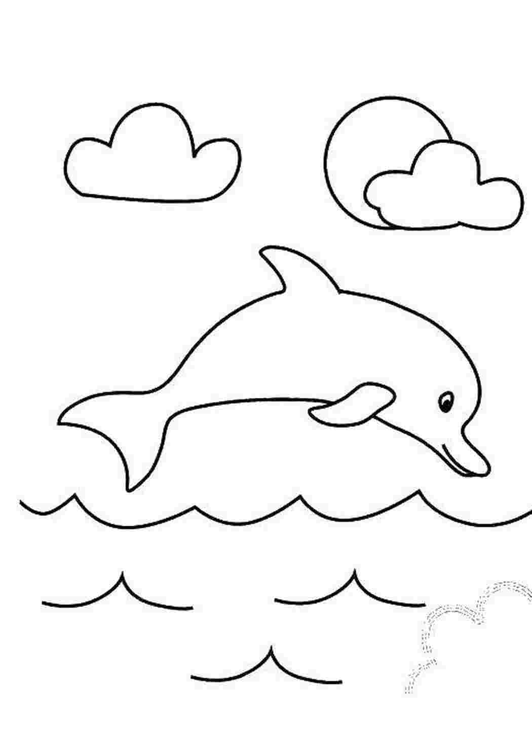 Раскраска Дельфин