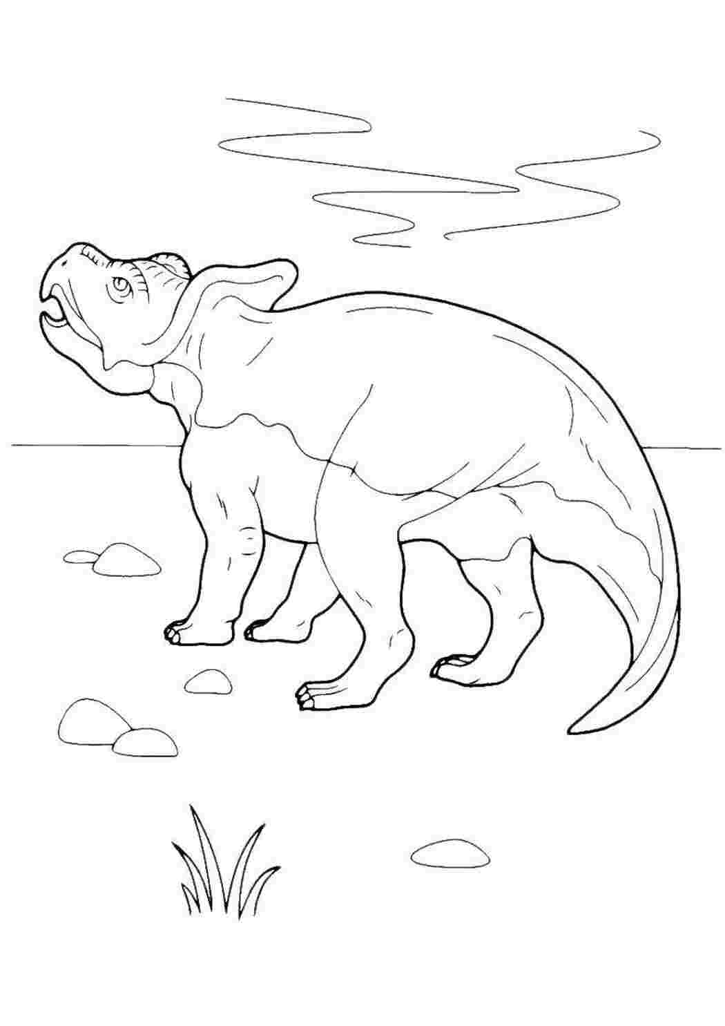 Раскраска Динозавр