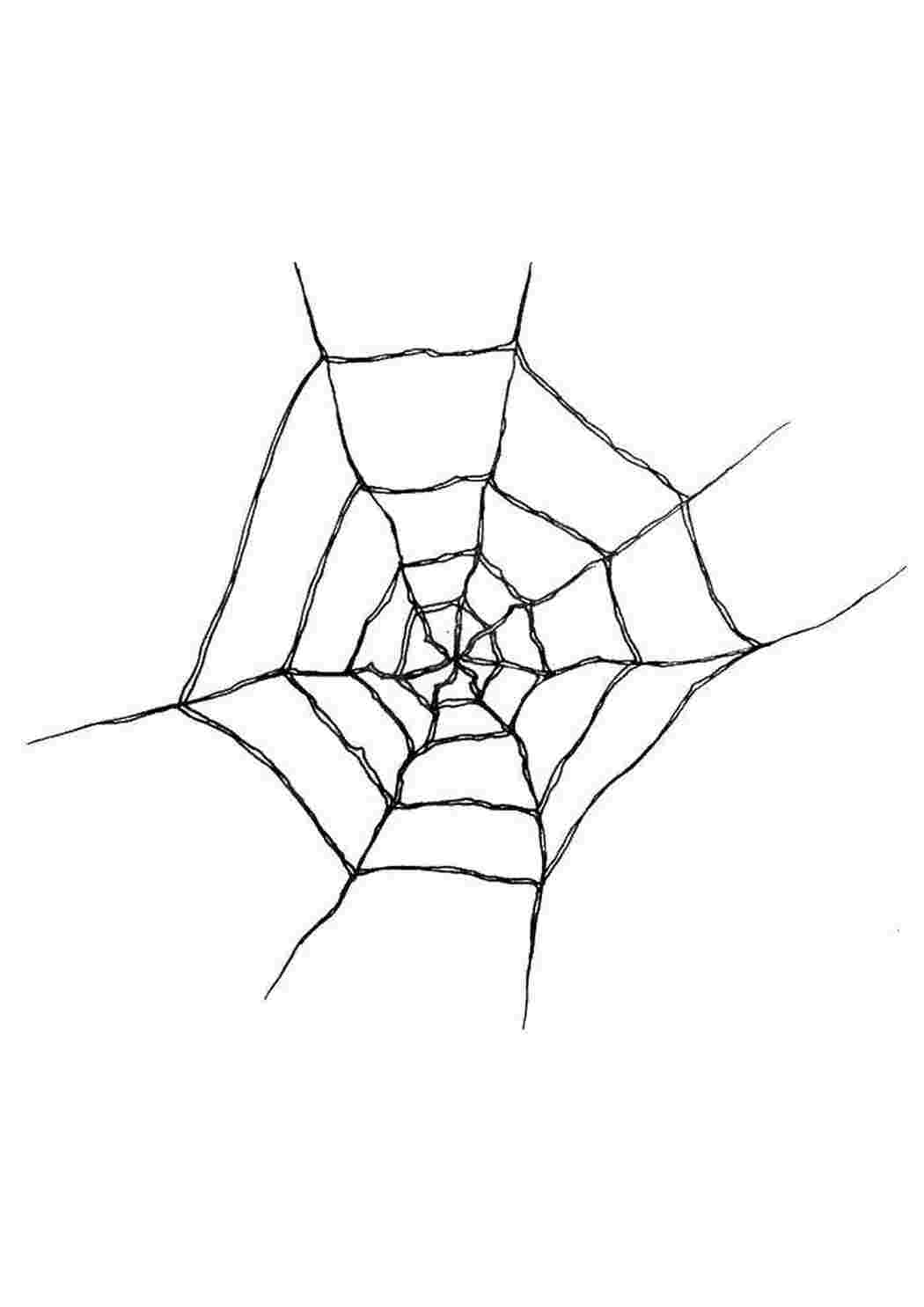Паутинка для начинающих схемы. Паутина. Паутина эскиз. Паутина тату эскиз. Паутинка тату эскиз.
